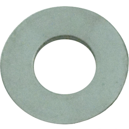 Pentair 72173 stainless steel flat washer, 5/16 inch ID by 3/4 inch OD