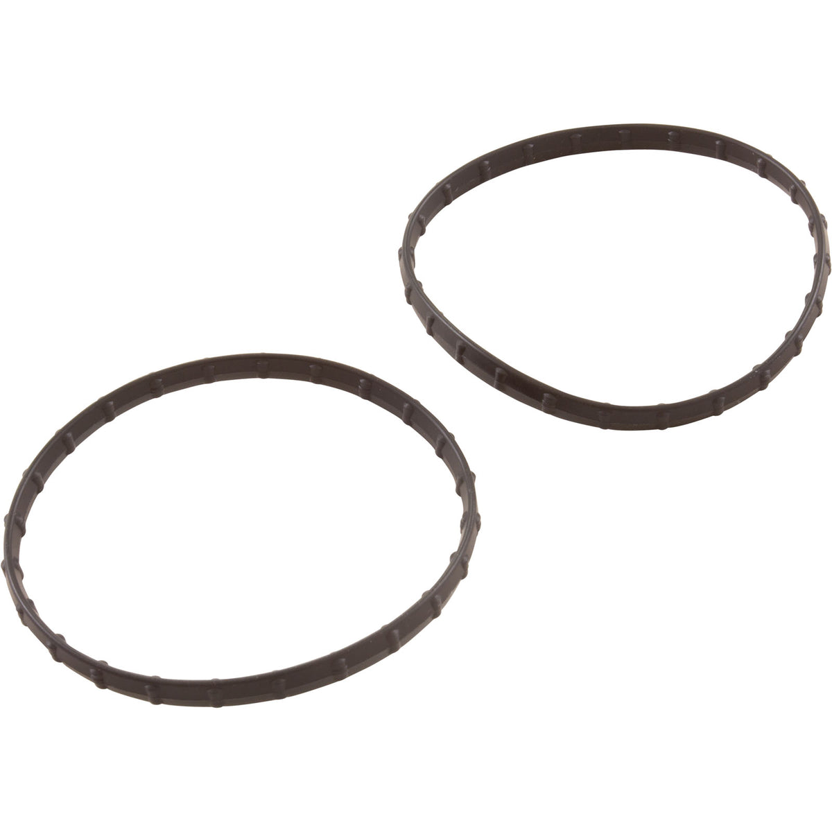 Pentair 178746Z union diamond seal