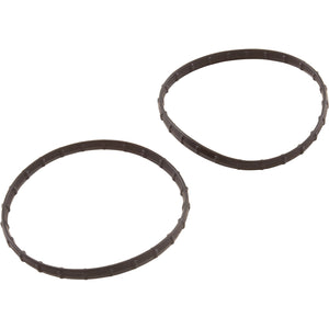 Pentair 178746Z union diamond seal