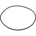Hayward CXFHR1001 lid o-ring for SwimClear C100S, C150S and C200S cartridge filters