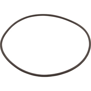 Hayward CXFHR1001 lid o-ring for SwimClear C100S, C150S and C200S cartridge filters