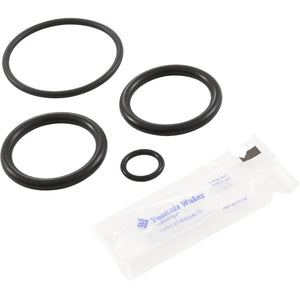 Pentair 273109 o-ring kit for the ABS backwash slide valve