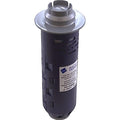 Nature2 W28000 DuoClear 25 cartridge for pools up to 25,000 gallons