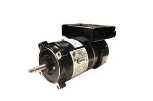 Century EVC130 VGreen Evo 1.30 THP C flange variable speed pool pump motor