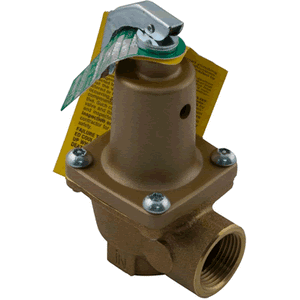 Raypak 007224F pressure relief valve, 125 psi