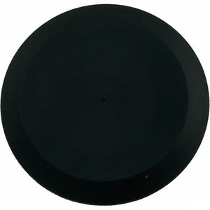 Raypak 005264F genuine OEM rear drain plug and cover