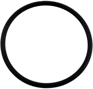Hayward CLX110K Viton lid O-ring for CL100 and CL110 chlorine feeders