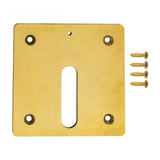 Polaris MJ6370 brass MiniJet cover plate with screws for Zodiac water designs