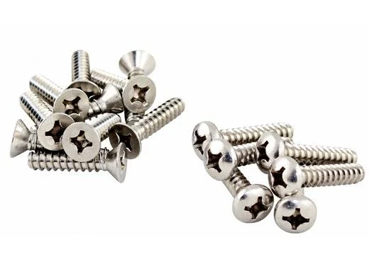 Hayward SPX1090Z6A set of 10 stainless steel skimmer face plate screws