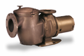 Pentair 011660 C Series 15 HP three phase commercial bronze pump with hair and lint strainer, CHK-150