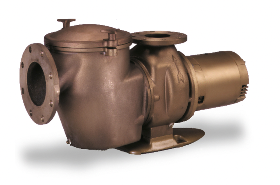 Pentair 011660 C Series 15 HP three phase commercial bronze pump with hair and lint strainer, CHK-150