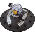 Pentair 154856Z 8-1/2 in. buttress thread closure kit for Triton II sand filters