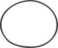 Pentair 356148Z seal plate o-ring for the IntelliFlo3 VSF 1.5 HP pump