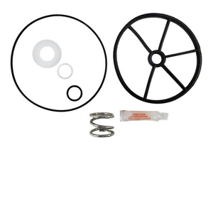 Aladdin APCKIT39 SP715 multiport valve repair kit, 2 inch, with spring