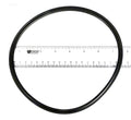 Paramount 005-152-0120-00 o-ring for the Clear Canister lid