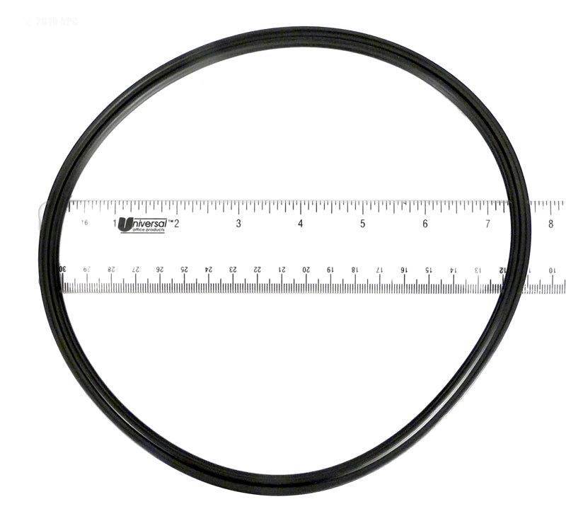 Paramount 005-152-0120-00 o-ring for the Clear Canister lid