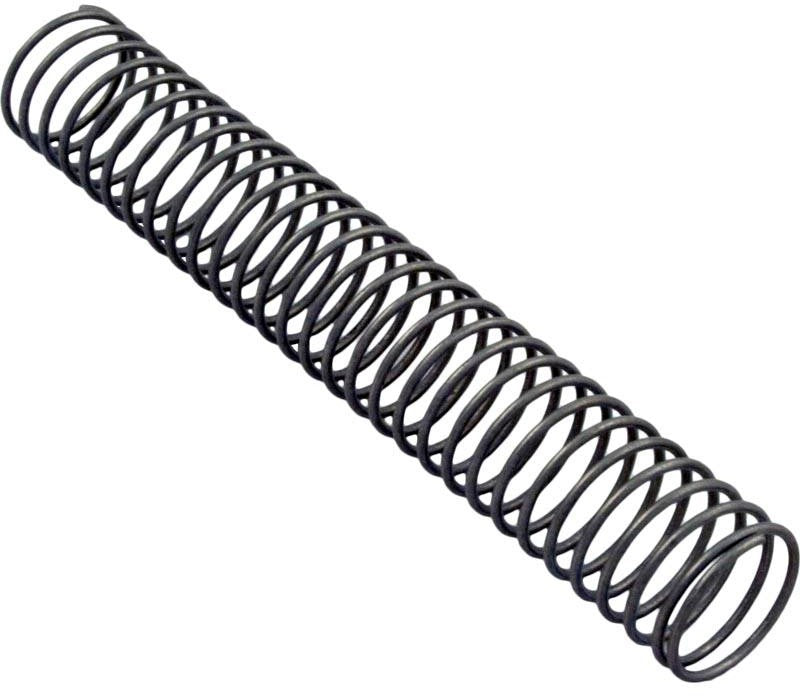 Pentair R171097 Rainbow chlorinator tube support spring