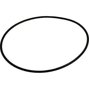 Waterway 805-0256 pump volute faceplate o-ring