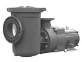 Pentair 340016 EQW300 waterfall pool pump, 3 HP with 6 in. by 4 in. connections