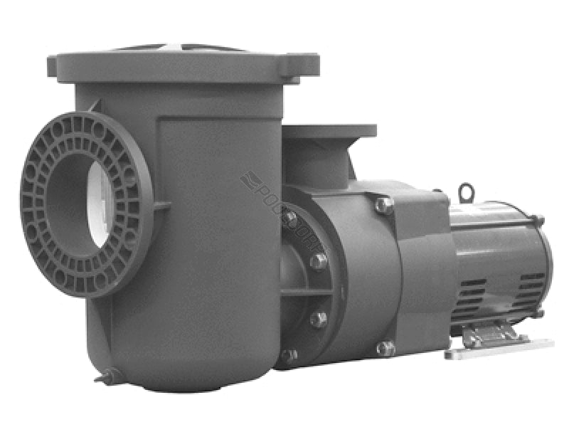 Pentair 340016 EQW300 waterfall pool pump, 3 HP with 6 in. by 4 in. connections