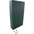 Raypak 009505 PoolStat cover with lock