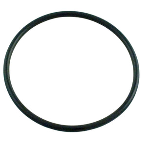 CMP 52000-200-101 PowerClean SCG o-ring