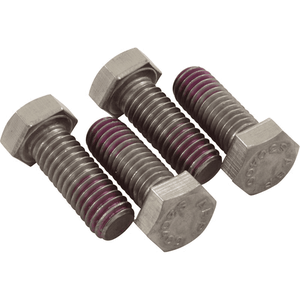 Hayward SPX0125Z44 motor cap screws, four per pack