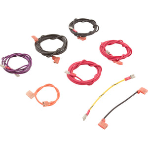 Raypak 010386F wire harness kit for millivolt pool heaters 206A to 406A