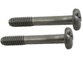 Hayward WGX1030Z1AM main drain screw set of 2 for the WGX1048E