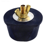 Hayward 004-302-1672-00 2 in. winter plug, 6 pack