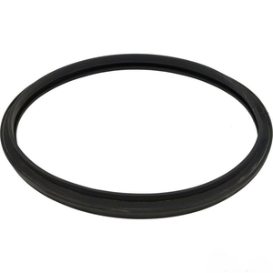 Hayward CX250F Star-Clear filter head gasket