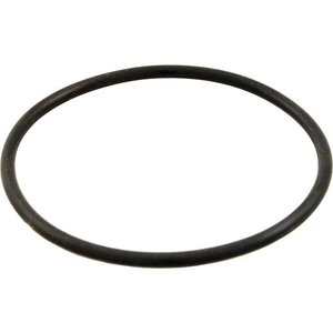 Hayward ECX1287 o-ring for the Perflex DE filter gauge adapter