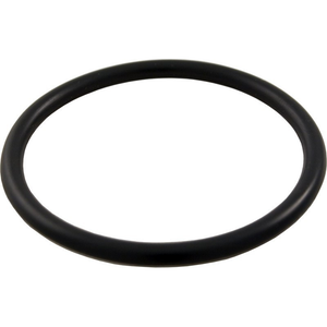 Pentair 191474Z drain plug o-ring for Clean and Clear Plus filters