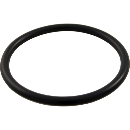 Pentair 191474Z drain plug o-ring for Clean and Clear Plus filters