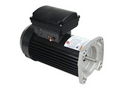 Nidec US Motors TEQ225 Aqua-Shield Pro 48Y TEFC square flange pool and spa pump motor