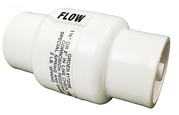 Pentair Rainbow R172288 chemical resistant 1-1/2 in. x 2 in. spring check valve