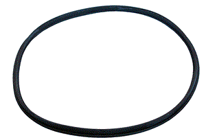 Hayward SPX4000TS strainer cover T-ring for NorthStar pumps