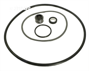 Aladdin GO-KIT25-9 rebuild kit for Sta-Rite PE, P2RA and AJ series pumps