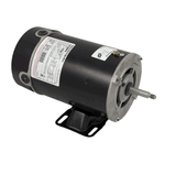 Century BN35V1 1.5 HP 115/230V 48Y frame thru bolt pool pump motor with stainless steel shaft