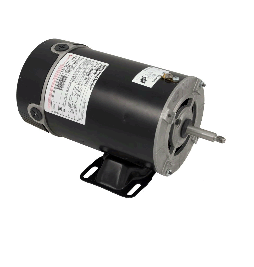Century BN35V1 1.5 HP 115/230V 48Y frame thru bolt pool pump motor with stainless steel shaft