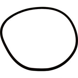 Sta-Rite U9-373 o-ring for pump seal plate