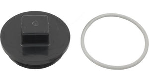 Jacuzzi 43309202R 2 inch plug with o-ring