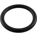Pentair 51005000 drain cap fitting o-ring