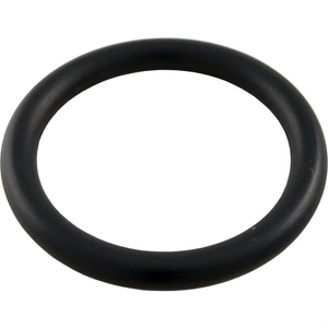 Pentair 51005000 drain cap fitting o-ring