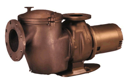 Pentair C Series commercial bronze pool pump with strainer, 5 HP single phase