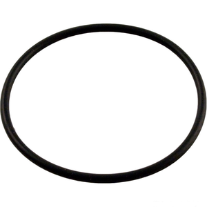 Pentair 192323 genuine OEM standpipe o-ring gasket