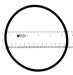 Speck 2921141210 o-ring number 137 for a Speck pool pump lid