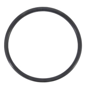Jandy R0622000 Pro Series diffuser o-ring