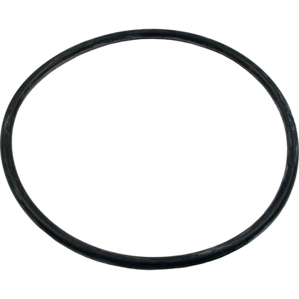 Pentair 39300600 locking lid o-ring for the Ultra Flo pump