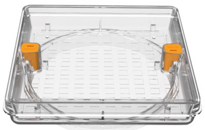 AquaStar SFL10100 clear 10 in. square Fill-Lid skimmer cover and frame